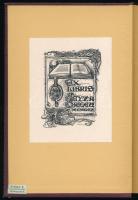 [Berryer, Pierre-Antoine (1790-1868)]: Berryer válogatott törvényszéki beszédei. Ford.: Tóth Lőrinc....
