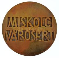 Nagy István János (1938-) DN "Avasi kilátó / Miskolc Városért" kétoldalas, öntött bronz em...