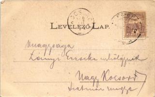 1900 Bártfafürdő, Bardejovské Kúpele, Bardiov, Bardejov; Ásványvízfürdők az Erzsébet királyné forrás...