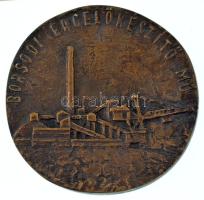 DN "Borsodi ércelőkészítő mű" egyoldalas, öntött bronz emlékplakett (90mm) T:XF