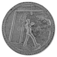 1960 k. "Somsályi Sport Egylet" kétoldalas Al emlékérem. A Somsályi SE 1945-től szerepelt rendszeresen a labdarúgó bajnokságban. 1958-ban és 1959-ben is megnyerte a megye I-es bajnokságot, ám feljutnia csak másodjára sikerült. Ezután a Hodoscsépány városrészeként ismert terület csapata zsinórban 11 szezont töltött el az NB III-ban, ami a klub aranykorszakaként jellemezhető, legjobb eredményük két 5. hely volt. 1969-ben kiestek, majd egészen 1981-ig nem volt futball a település(rész)en. Az újjáalakulás már Ózd városrészeként érte a klubot, ám többé már nem tudták megközelíteni a régi sikereket, 1981-ben még a megye I-ben indultak, tíz évvel később viszont már csak a körzeti bajnokságban szerepeltek (a mai megye III). 1995-ben ismét megszűnt a somsályi labdarúgás, s bár 1999-ben újra beneveztek, addigra már csak a hetedosztálynak számító megye III-ban indulhattak. Bár itt egyből ezüstérmet szereztek, előrébb lépni nem tudtak, s 2006-ban gyakorlatilag utolsóként zárva a tabellán végleg megszűnt a csapat. (36mm) T:XF