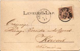 1900 Nagybánya, Baia Mare; Fő tér nyugati oldala, sör és borcsarnok / main square, wine and beer hal...