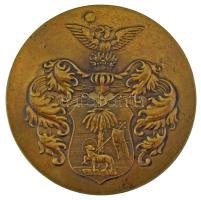 1934. "Stadionavatás 1934. VI. 2-10. Debrecen" bronz emlékérem (58mm) T:AU,XF