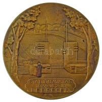 1934. "Stadionavatás 1934. VI. 2-10. Debrecen" bronz emlékérem (58mm) T:AU,XF