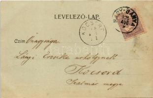 1900 Nagybánya, Baia Mare; Kereszthegyi külváros. Molnár Mihály kiadása / Dealul Crucii (fl)