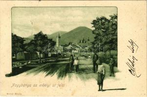 1900 Nagybánya, Baia Mare; Erdélyi út felől. Molnár Mihály kiadása / street (fl)