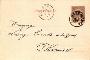 1900 Nagybánya, Baia Mare; Erdélyi út felől. Molnár Mihály kiadása / street (fl)