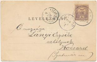 1900 Kovászna, Kovásznafürdő, Baile Covasna; látképek. Bogdán Ferenc kiadása / general views. Art No...