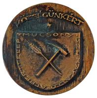 DN "Községünkért - Mucsony - Szuhakálló - Alberttelep" egyoldalas, öntött bronz emlékplakett (97mm) T:XF, patina