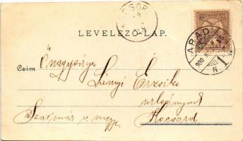 1900 Arad, Minorita templom, vár főkapuja, Maros-part, Lyceum, Arad-Csanádi egy. Vasutak palotája, l...
