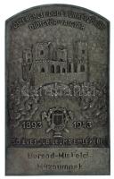1943. "Jószerencse Dal és Önképzőkör, Diósgyőr-Vasgyár - 1893-1943 - 50 éves jubileuma emlékére" egyoldalas fém plakett, "Borsod-Miskolci Múzeumnak" gravírozással (88x55mm) T:AU,XF