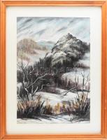 Holányi Julianna (1947-): Télen a Kőközben (Erdély, Nagyenyed mellett). Pasztell, papír. Jelzett. Hátoldalán autográf felirattal. Üvegezett fakeretben. 49x33,5 cm.