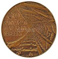 DN "Borsodi Szénbányák / Bányászati tevékenységért - 30" kétoldalas, öntött bronz emlékérem (80mm) T:XF