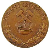 DN "Borsodi Szénbányák / Bányászati tevékenységért - 30" kétoldalas, öntött bronz emlékére...