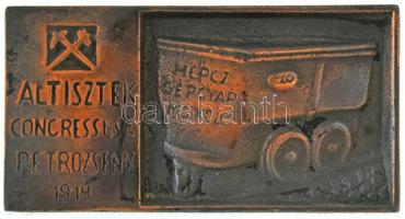 DN "Altisztek Congressusa Petrozsény 1914 - Hercz Gépgyár Miskolc" egyoldalas, öntött bronz bányászati emlékplakett (72,5x135mm/680g) T:XF,VF, patina