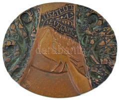 DN "Tisztelet az éveknek" egyoldalas, öntött bronz emlékplakett. Szign.: "SB" ? (86x103mm) T:XF, patina