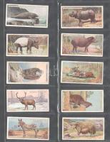 Player's Cigarettes brit cigaretta-gyűjtőkártyák, 50 db-os komplett sorozat ("Természetraj...