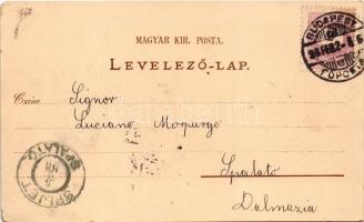 1898 (Vorläufer!) Budapest XIV. Városliget, Az Ezredéves Kiállítás panorámája. Eisler G. Art Nouveau...