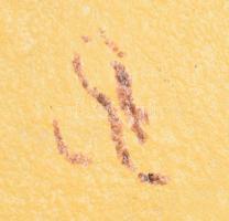 Pesthidegkút vulkánmázas kínáló, jelzett, hibátlan, d: 25,5 cm