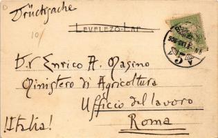 1906 Budapest IV. Újpest, Községháza, üzletek, Tejcsarnok Szövetkezet. Serie N. 113. (EK)