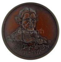 Kelemen Kristóf (1922-2001) / Sebestyén Sándor (1949-) 1987. "MÉE XVII. Vándorgyűlés Nyíregyháza / Bessenyei György" bronz emlékérem (42,5mm) T:AU patina Adamo NH7