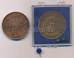 Csúcs Viktória (1934-) 1979. "Magyar Éremgyűjtők Egyesülete 1969-1979" kétoldalas bronz emlékérem eredeti plombált "ÁPV" műanyag tokban (42,5mm) + 1988. "20 éves a MÉE Fejér Megyei Szervezete 1988 / Veretett a törökök kivonulásának 300. évfordulóján" bronz emlékérem kapszulában T:UNC