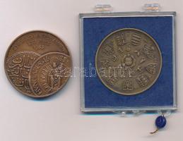 Csúcs Viktória (1934-) 1979. "Magyar Éremgyűjtők Egyesülete 1969-1979" kétoldalas bronz em...