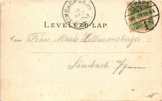 1900 Sopron, Városház, Deák tér, Honvéd főreáliskola. L. Kummer Art Nouveau, floral, litho (EK)