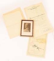 1913-1917 Schiller János katonai oklevelei: kinevezések (hadnagyi, főhadnagyi), kitüntetés adományozó oklevél (Katonai Érdemkereszt III. osztálya hadidíszítménnyel és kardokkal), össz. 4 db, többön szép szárazbélyegzővel, változó méretben és állapotban (közte sérült) + Schiller János egyenruhás portréja, kitüntetésekkel (közte a Vaskorona-rend és a Katonai Érdemkereszt III. osztálya), keményhátú fotó Gerber S. budapesti műterméből, modern üvegezett képkeretben, látható: 11x8 cm