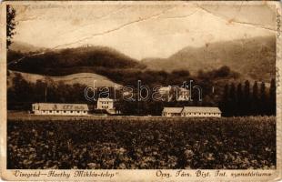 1932 Visegrád, Horthy Miklós telep, Országos Társadalombiztosító Intézet (OTI) szanatóriuma (fa)