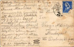 1932 Visegrád, Horthy Miklós telep, Országos Társadalombiztosító Intézet (OTI) szanatóriuma (fa)