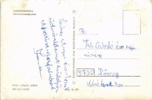 Apátistvánfalva (Vas megye), mozaiklap templommal. Alapfy Attila felvétele. Képzőművészeti Alap Kiad...