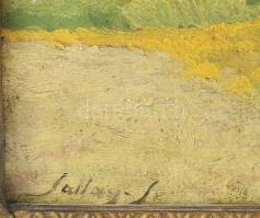 Sallay S. jelzéssel: Hazafelé. Olaj, karton. Dekoratív, sérült fakeretben. 25×35 cm