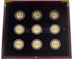 2002 k. "Emlékérem az euróövezet országainak közös valutájáról" 20xklf aranyozott, ezüstöz...