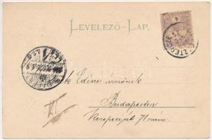 1900 Trencsén, Trencín; Dr. Wlassics Gyula vall. közokt. miniszter díszelnöki okmánya, Trencsén vm. ...