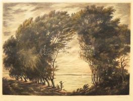 Paulovits Pál (1892-1975): Vihar után (Balatoni vitorlás). Színezett rézkarc, papír, jelzett. Lap széle kissé foltos. 32,5×45 cm