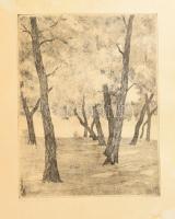 Biai-Föglein István (1905-1974): Fák a vízparton. Rézkarc, papír, jelzett, kartonra kasírozva, lapszéli foltokkal, 37x28,5 cm
