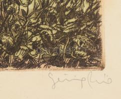 Görög Rezső (1930-): Herke-tó. Színes rézkarc, papír, jelzett. Lap széle foltos. Kartonra kasírozva....