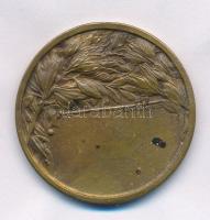 1936. "DREHER Sportkör 1926-1936" kétoldalas bronz zseton, hátoldalán "LUDVIG BPEST&q...