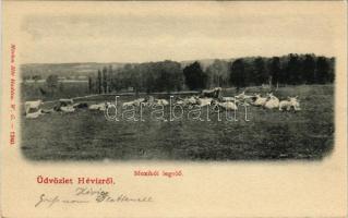 Hévíz, Mexikói legelő. Márton Mór kiadása