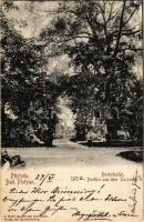 1902 Pöstyén, Piestany; Parkrészlet. A fürdőigazgatóság kiadása / Parthie aus dem Curpark / park (EK)