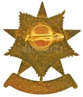 1960-1970. "Munkaügyi Minisztérium Kiváló Dolgozó" zománcozott, aranyozott kitüntetés T:AU