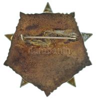 1970-1980. "Földtani Kutatás Kiváló Dolgozója" kitüntető jelvény (39x38mm) T:AU