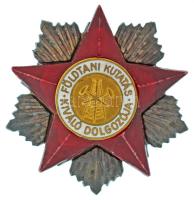 1970-1980. "Földtani Kutatás Kiváló Dolgozója" kitüntető jelvény (39x38mm) T:AU