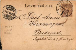 1900 Debrecen, Csokonai szobor. Römmler und Jonas (Dresden) (fl)