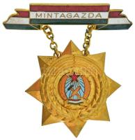 1954. "Mintagazda" zománcozott, aranyozott bronz kitüntetés T:AU,XF