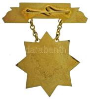 1954. "Mintagazda" zománcozott, aranyozott bronz kitüntetés T:AU,XF
