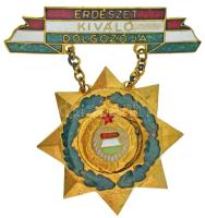 1960-1970. "Erdészet Kiváló Dolgozója" aranyozott és zománcozott kitüntetés T:AU