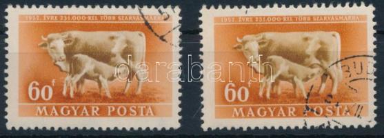 1951 Háziállatok 60f "falábú" tehén tévnyomat + támpéldány