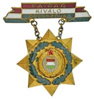 1960-1970. "Faipar Kiváló Dolgozója" aranyozott és zománcozott kitüntetés T:AU,XF